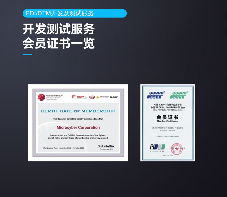 FDI/DTM 開發(fā)及測試服務(wù).png